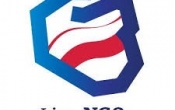 grafika Liga NGOs