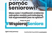 plakat- wolonatariusz