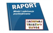 raport-zr-wlasne-