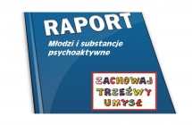 raport-zr-wlasne-