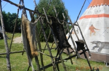 DSCN1483