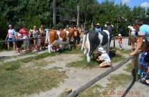 DSCN1524